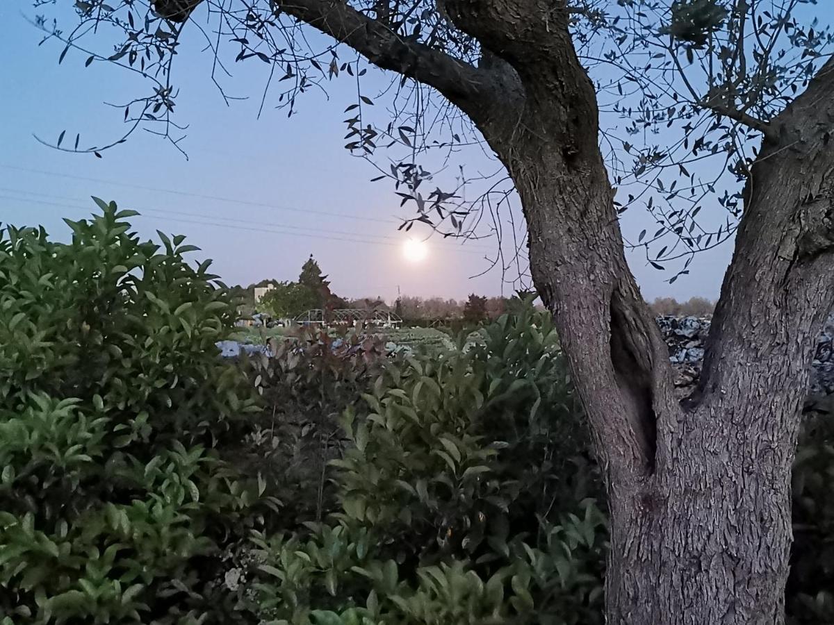 Villa Mios Muro Leccese Buitenkant foto