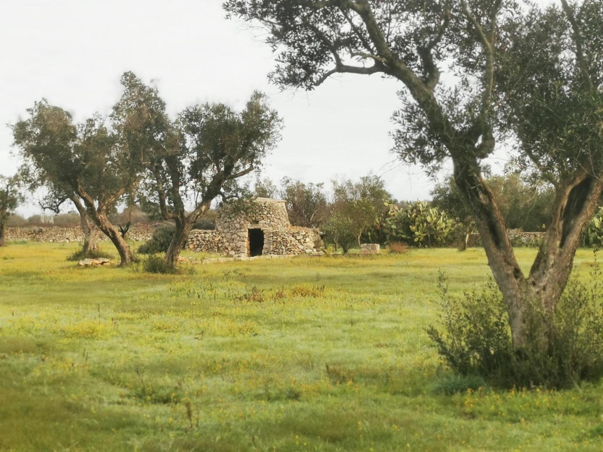Villa Mios Muro Leccese Buitenkant foto