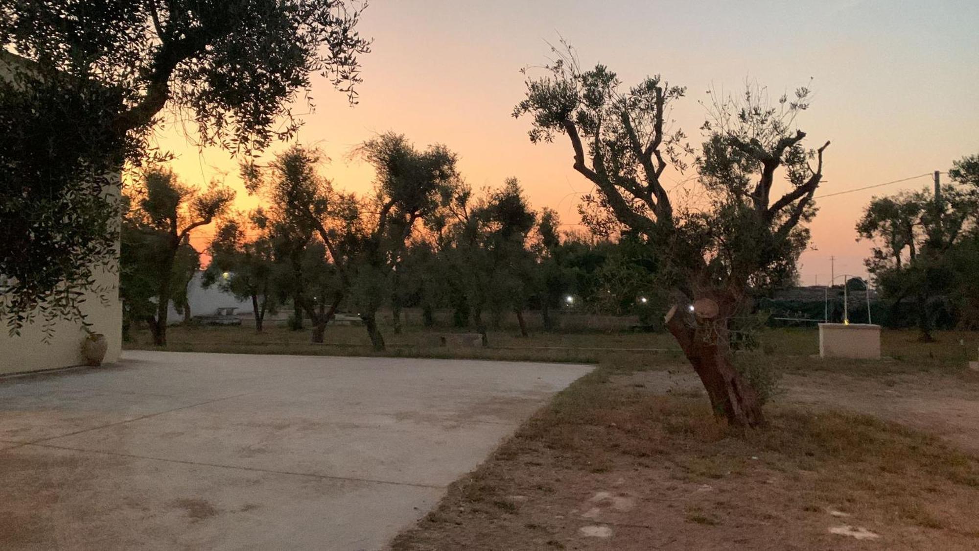 Villa Mios Muro Leccese Buitenkant foto