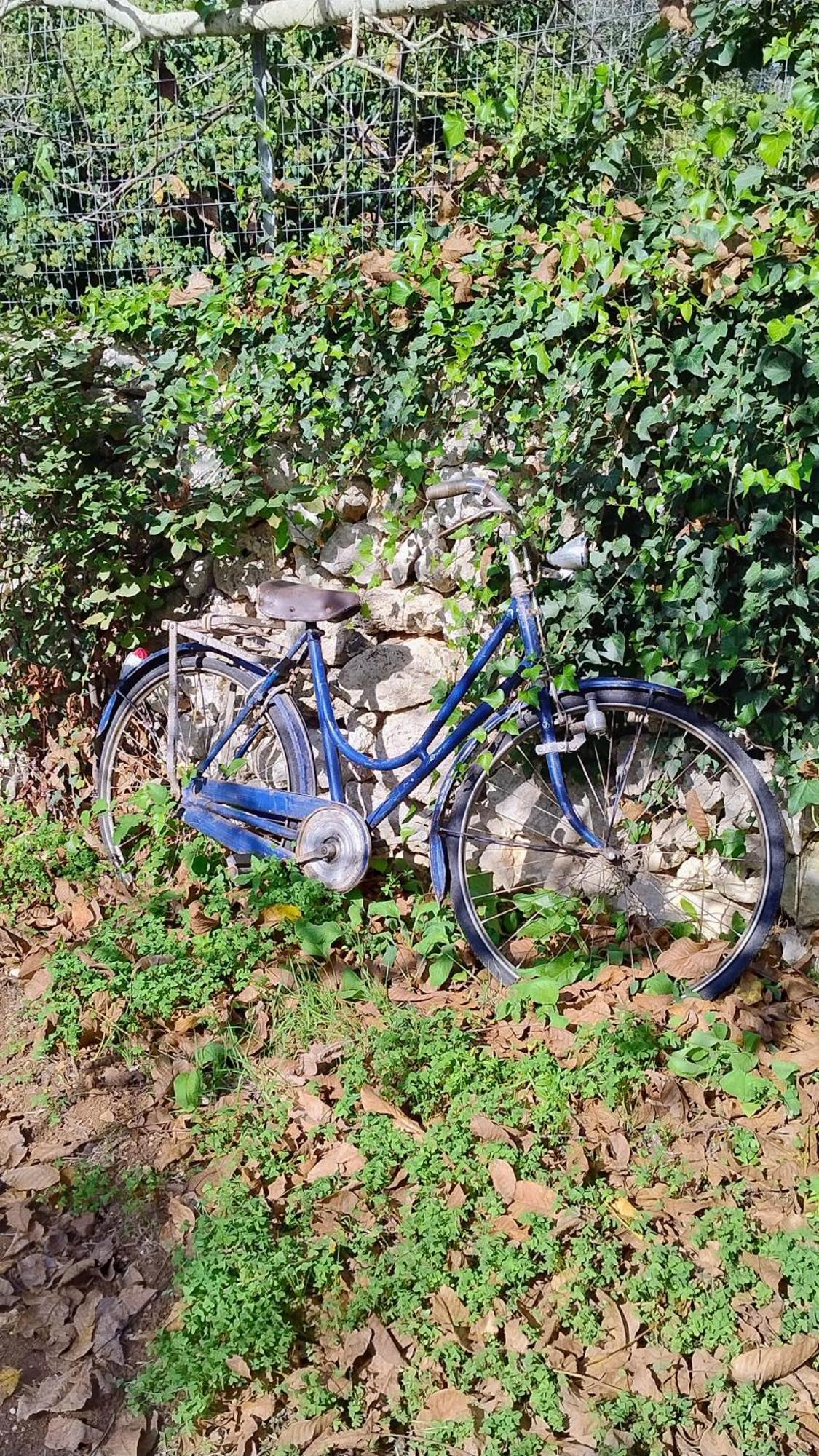 Villa Mios Muro Leccese Buitenkant foto