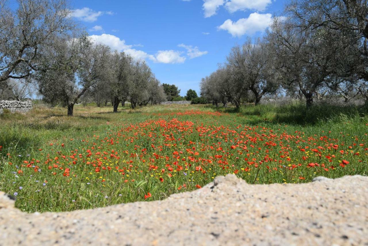 Villa Mios Muro Leccese Buitenkant foto